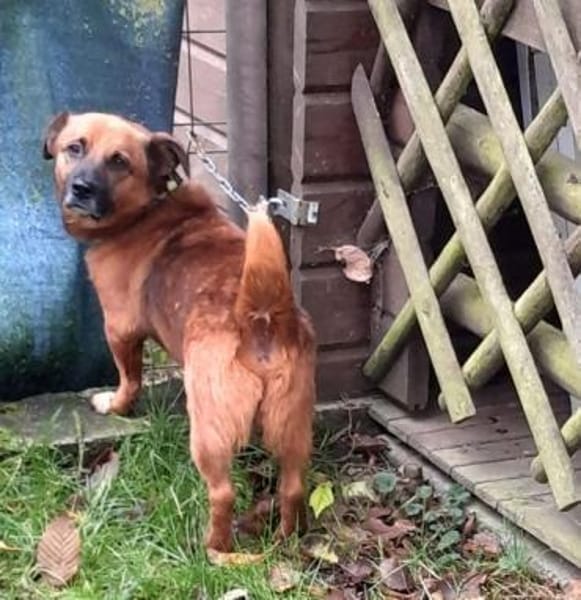 VEITILI -klein & verschmust-