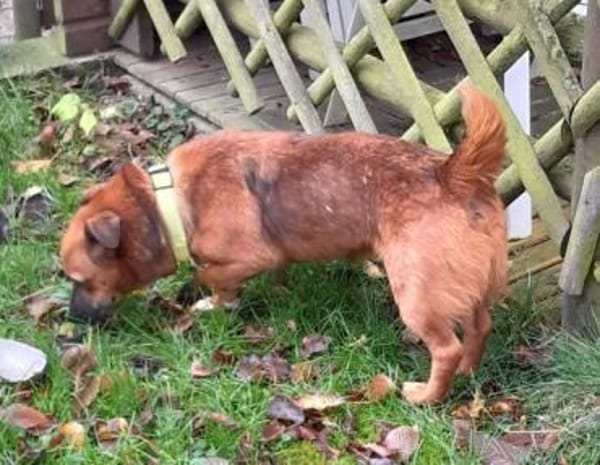 VEITILI -klein & verschmust-