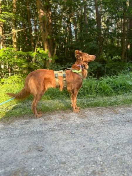 Lina möchte das Leben entdecken