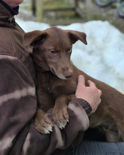 Sara  ein Blick, ein Statement, ...