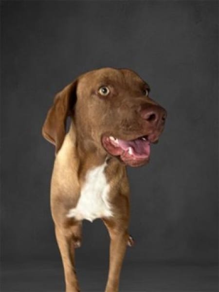 Bruce, zauberhafter Bub