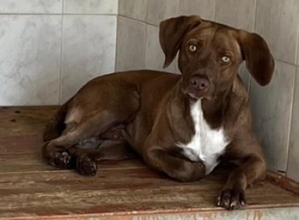 Bruce, zauberhafter Bub