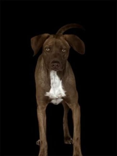 Bruce, zauberhafter Bub