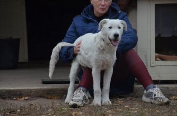 Emil in Thüringen sucht ein Zuhause