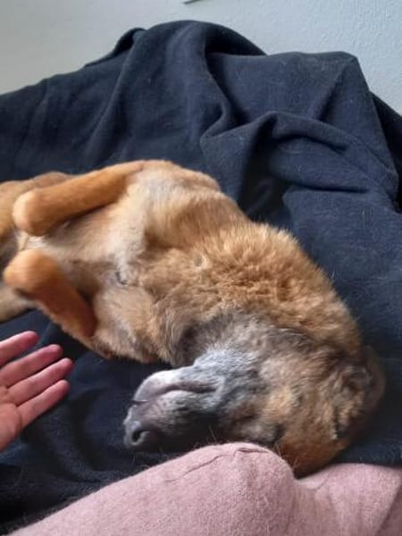 Sportliche NISHA sucht aktive Familie