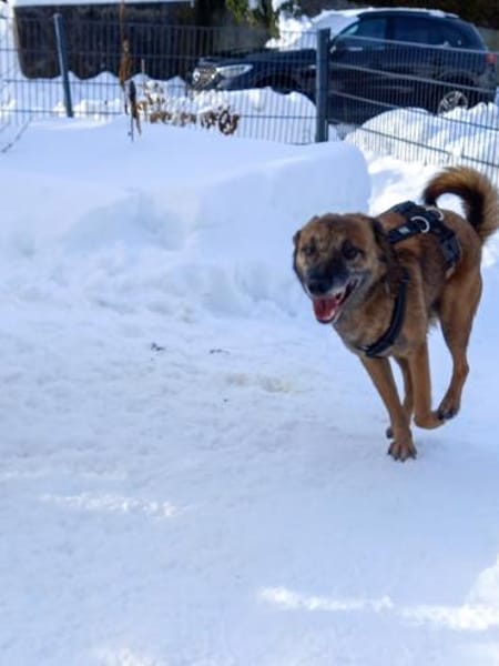 Sportliche NISHA sucht aktive Familie