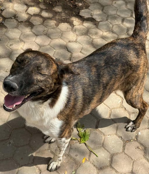 FERICITA heißt Freude