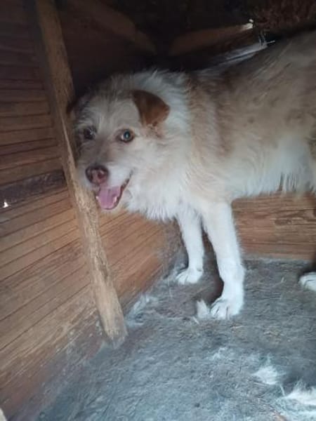 ODIN sucht seine Menschen