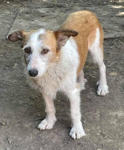 SINA - Alterswohnsitz gesucht