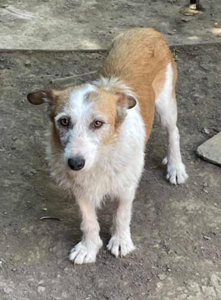 SINA - Alterswohnsitz gesucht