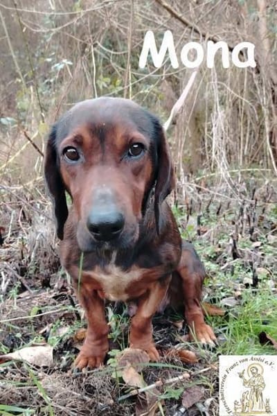 Mama Mona  sucht nicht irgendwen, ...