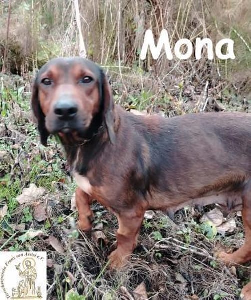 Mama Mona  sucht nicht irgendwen, ...