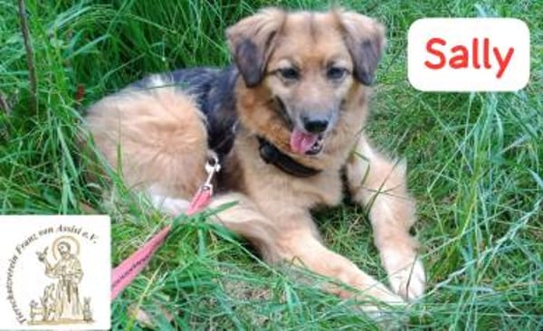 Sally  leiser Anfang von etwas Schönem