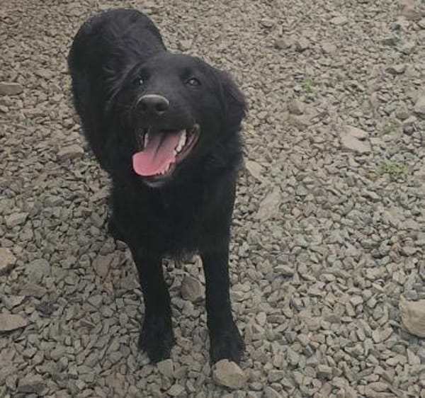 SAMMY - black is  beautyful