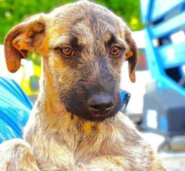 BETTY möchte kuscheln