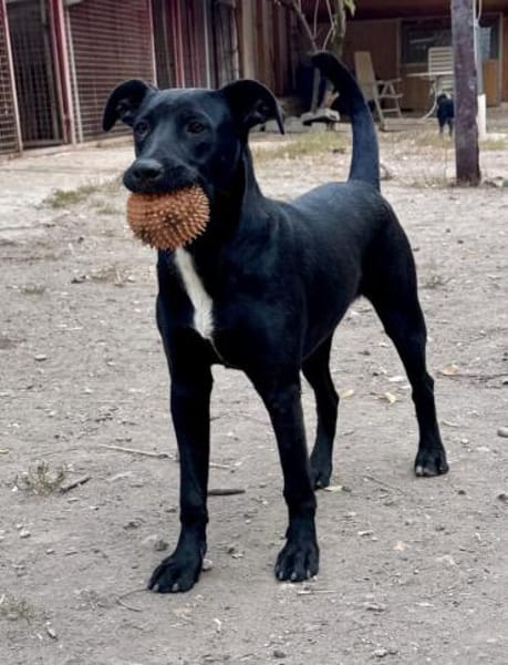 Kate sucht ihre Familie für immer