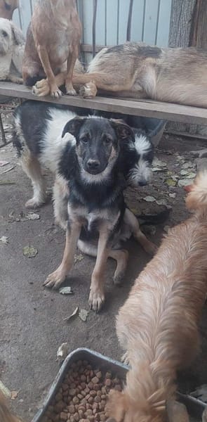 JANO - wartet schon so lange