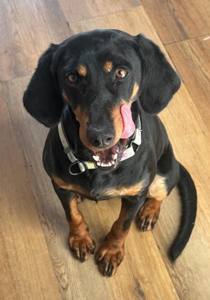 ZARA - wann darf sie ankommen?