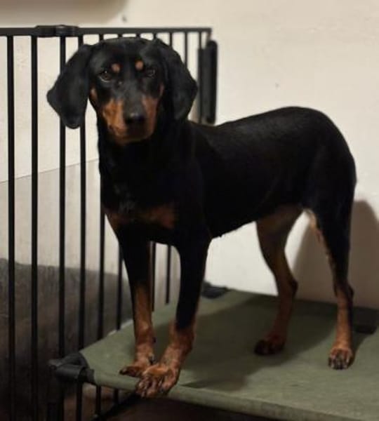 ZARA - wann darf sie ankommen?