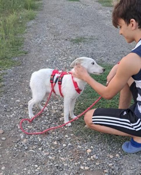 LOTTA - Zuhause gesucht