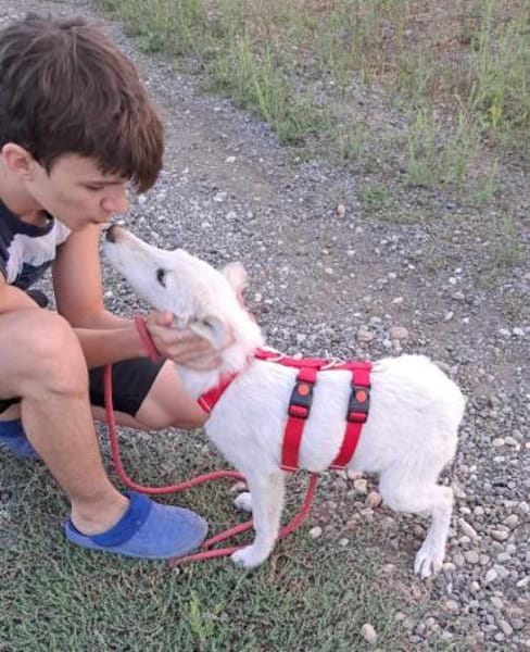 LOTTA - Zuhause gesucht