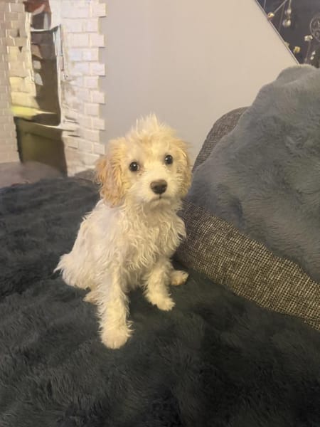 Daysi ein sehr liebes Mädchen