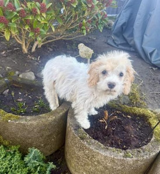 Daysi ein sehr liebes Mädchen