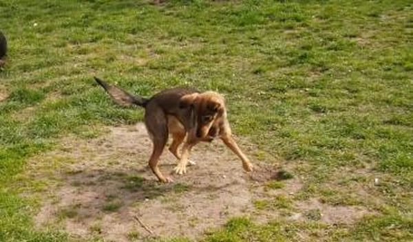 Kinushi möchte endlich richtig ankommen