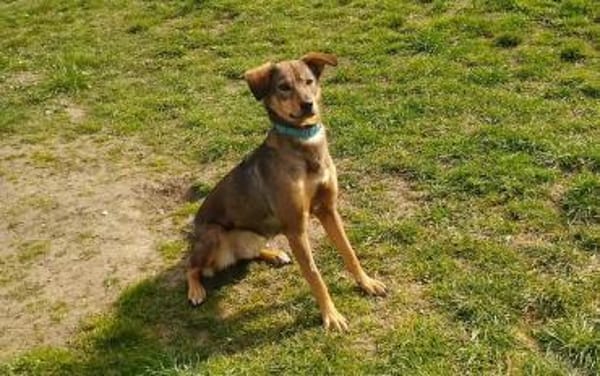 Kinushi möchte endlich richtig ankommen