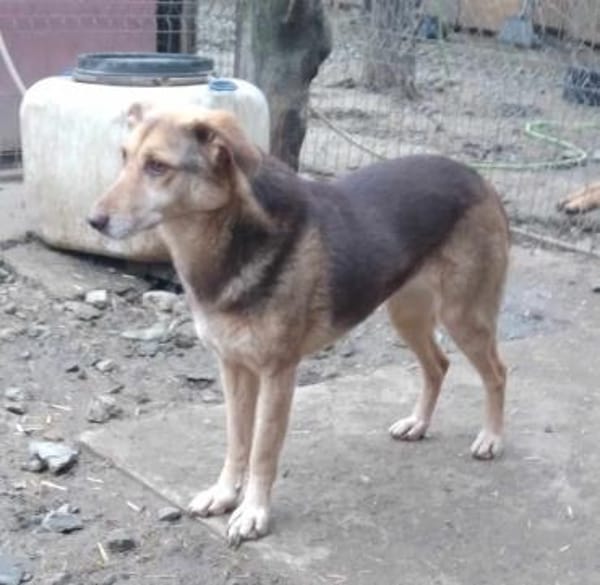 SPERANTA - die Hoffnung stirbt zuletzt