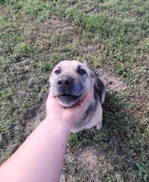 MIRARE - ein Wunder sucht ein Zuhause