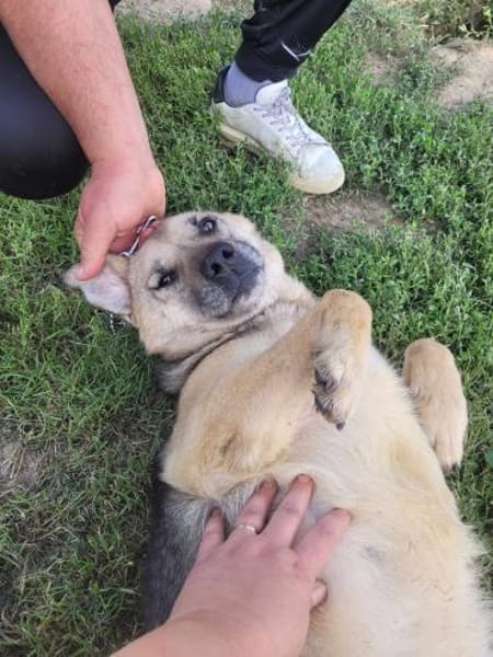 MIRARE - ein Wunder sucht ein Zuhause