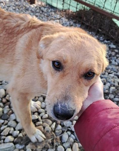 LOTTE - hätte gerne eine Familie