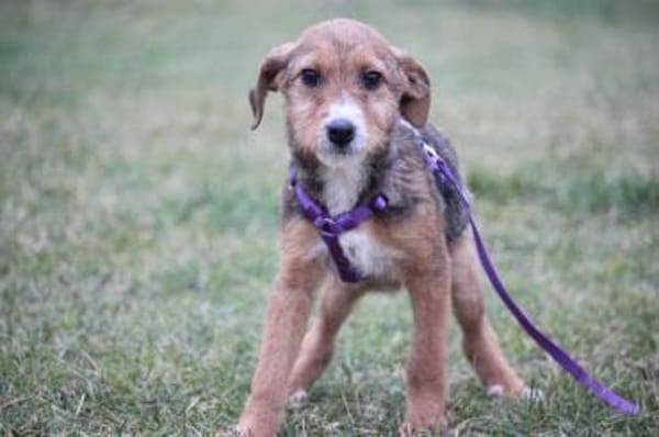 Nalani hat endlose Liebe zu verschenken!