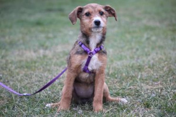 Nalani hat endlose Liebe zu verschenken!