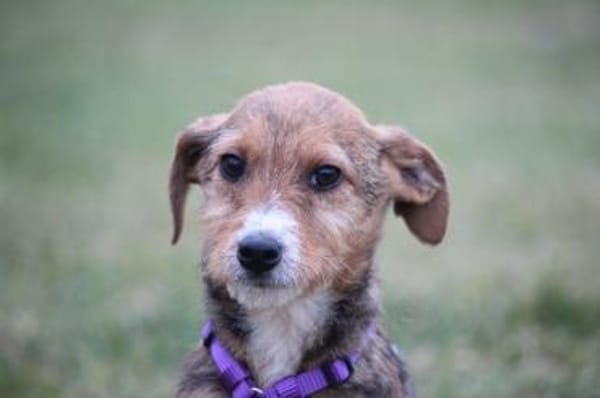 Nalani hat endlose Liebe zu verschenken!