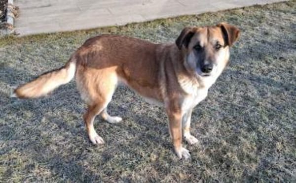 verkuschelte Marysia sucht ihren Hafen