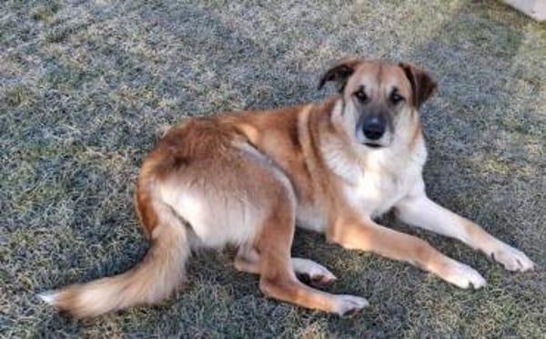 verkuschelte Marysia sucht ihren Hafen