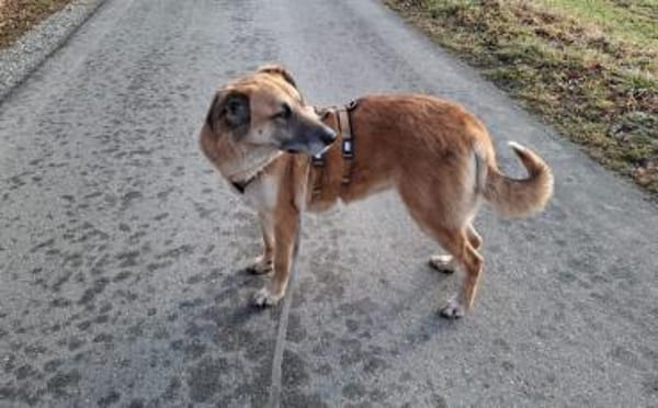 verkuschelte Marysia sucht ihren Hafen