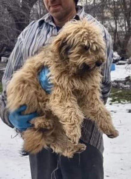 Winnie 44 cm (Pflegestelle)