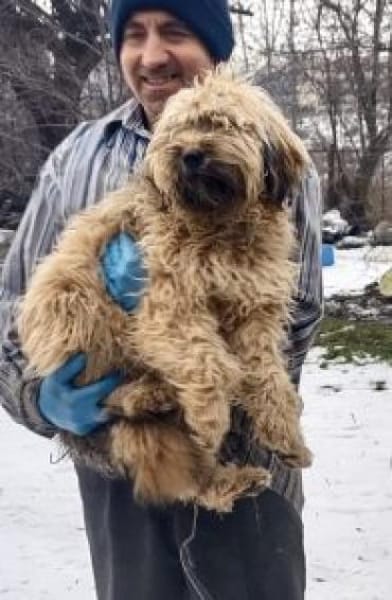 Winnie 44 cm (Pflegestelle)