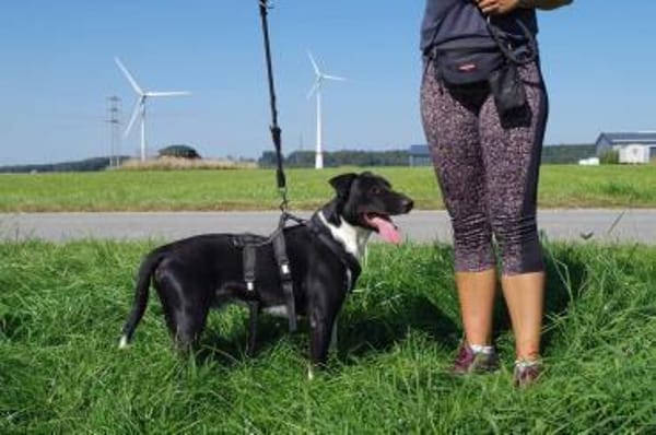 Ikem hat viel Liebe für Familie zu geben