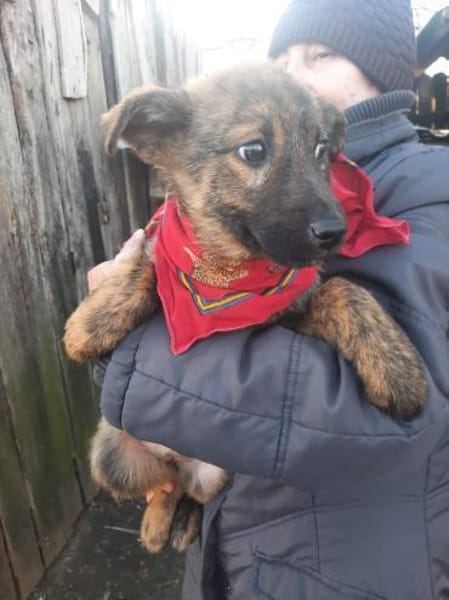 Mila wartet auf ihre Familie