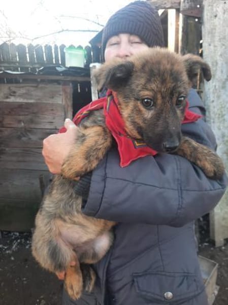 Mila wartet auf ihre Familie