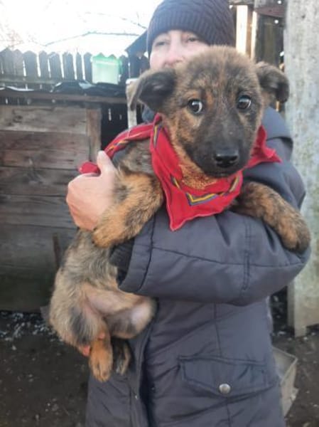 Mila wartet auf ihre Familie