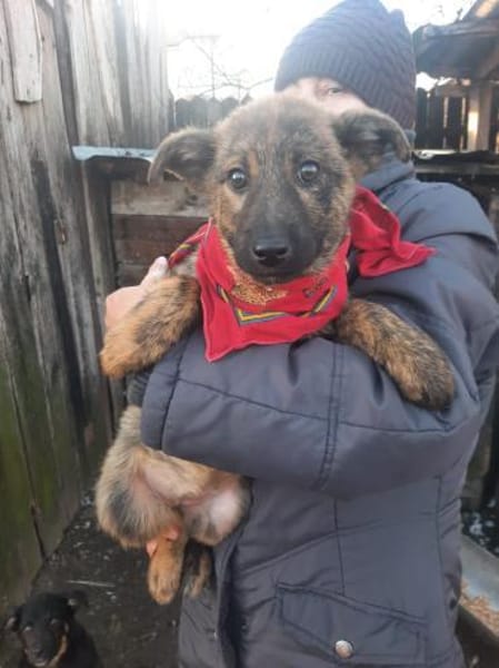 Mila wartet auf ihre Familie