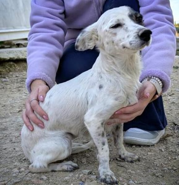 Lupa ein niedliches kleines Persönchen
