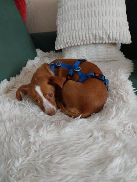 Imani kleiner Sonnenschein 🍀