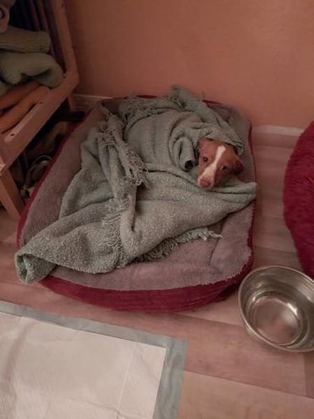 Imani kleiner Sonnenschein 🍀