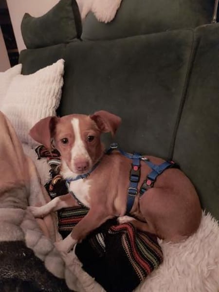 Imani kleiner Sonnenschein 🍀